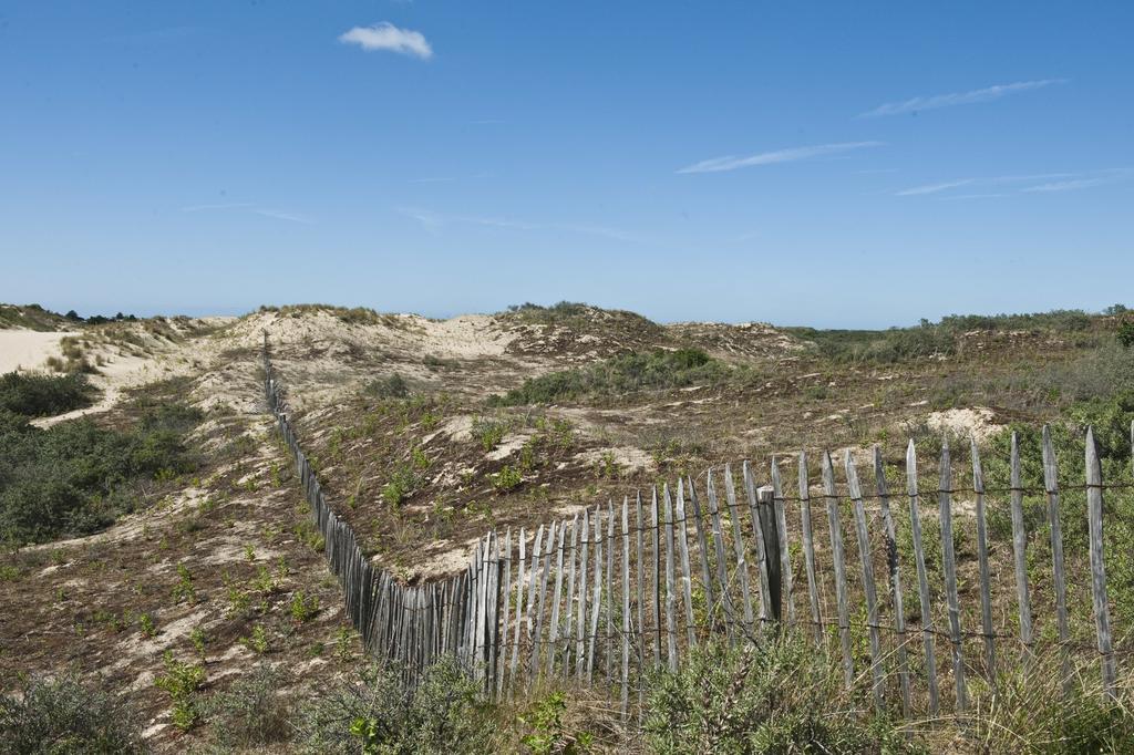 Evancy Etoile Des Dunes Bray-Dunes Exterior foto